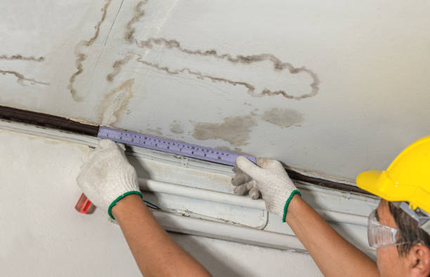 Reliable Water Damage contractor in Maine, ME by Water Damage Irwin